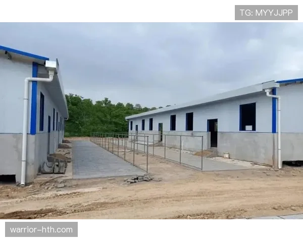 梅里诺羊业焕发创新活力 未来发展前景广阔 梅里诺羊业焕发创新活力 未来发展前景广阔